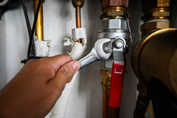 Best Leak Detection Services  in Soldotna, AK